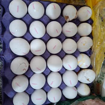 Siparişim 14 Saat Gecikti, Bozuk Ürünler Teslim Edildi Ve Çözüm Sunulmadı