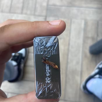 Parliament Night Blue Paketlerinde Sürekli Yabancı Madde Ve Tütün Eksikliği Sorunu