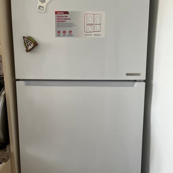 Yeni Aldığım Buzdolabında Geçmeyen Koku Problemi