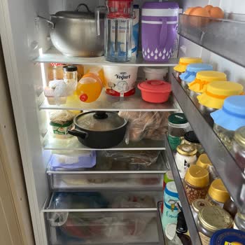 Yeni Aldığım Buzdolabında Geçmeyen Koku Problemi