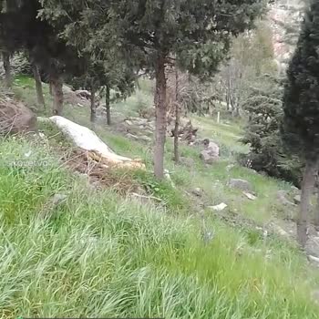 Çiğli Belediyesi Toplanmayan Evsel Atıklar