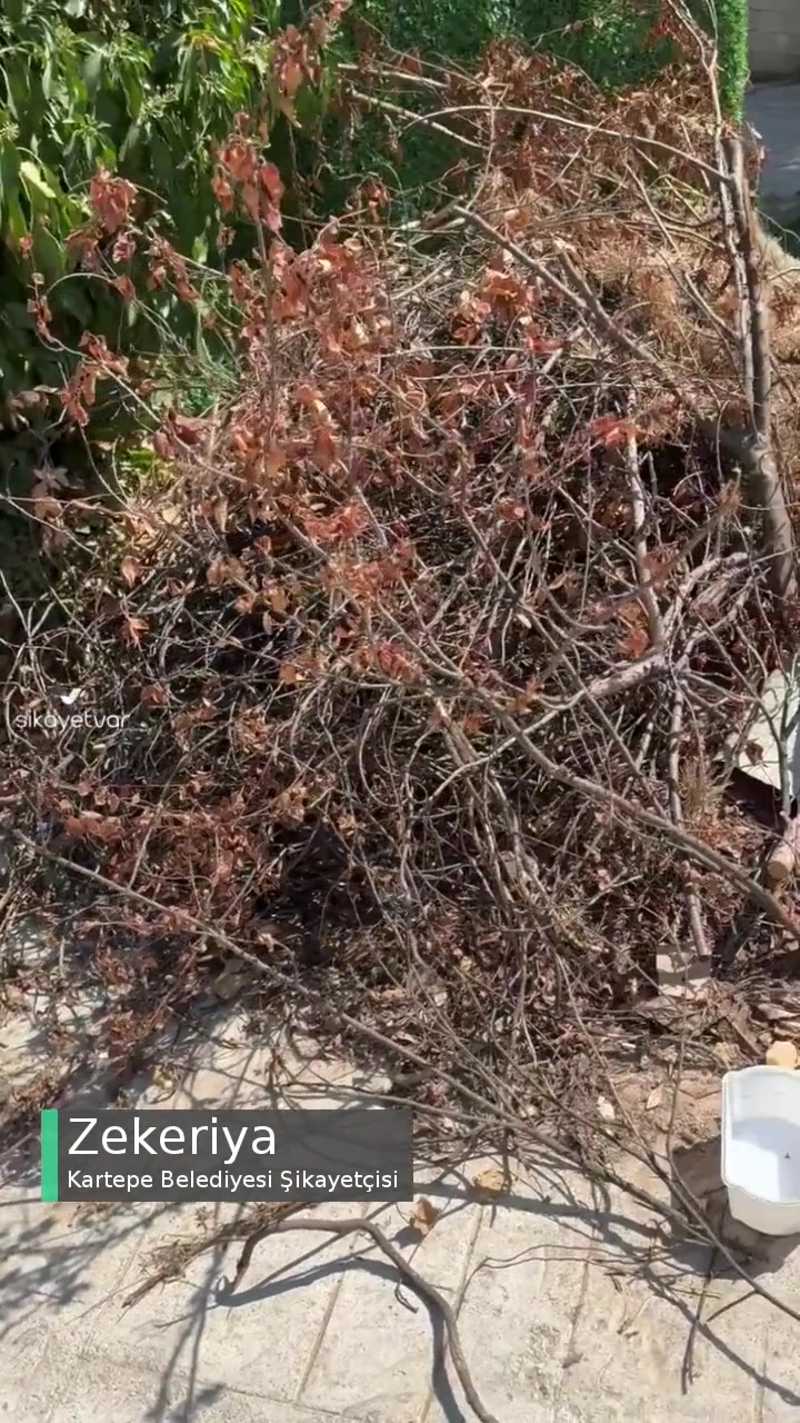 Kartepe Belediyesi Çöpleri Almıyor! videonun kapak resmi