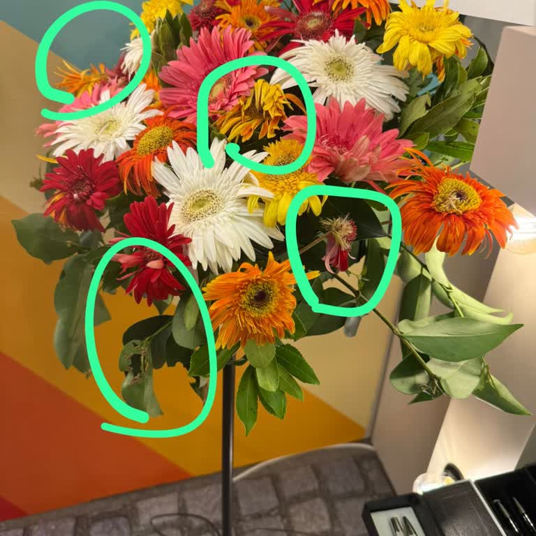 Çiçek Sepeti Fuar İçin Sipariş Ettiğimiz Çelenkler Solmuş Ve Geç Teslim Edildi Mahcup Olduk!