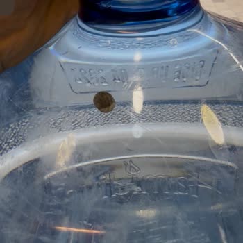 Damacana Suyunda Salyangoz: Hijyen Ve Müşteri Hizmetlerinde Ciddi İhmal