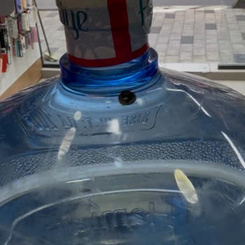 Damacana Suyunda Salyangoz: Hijyen Ve Müşteri Hizmetlerinde Ciddi İhmal