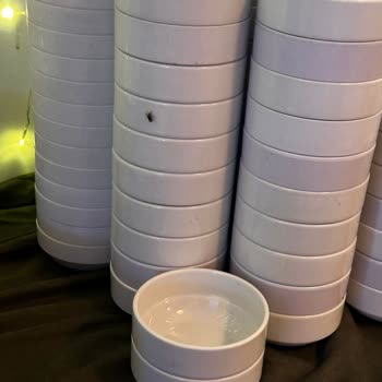 Sağlıksız Ortam, Kötü Yemekler Ve İlgisiz Hizmetle Kabusa Dönen Tatil