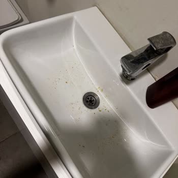 Sağlıksız Ortam, Kötü Yemekler Ve İlgisiz Hizmetle Kabusa Dönen Tatil