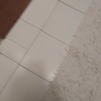 Satın Aldığım Yatak Takımından Kaynaklanan Tahta Kurusu Sorunu Ve Mağduriyetim