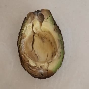 Çürük Avokado Ve Yanmış Ekmek İçin İade Talebim Reddedildi