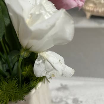 Osevio.com Solmuş Ve Kusurlu Çiçek Teslimatı Sonrası İade Talebim Reddedildi