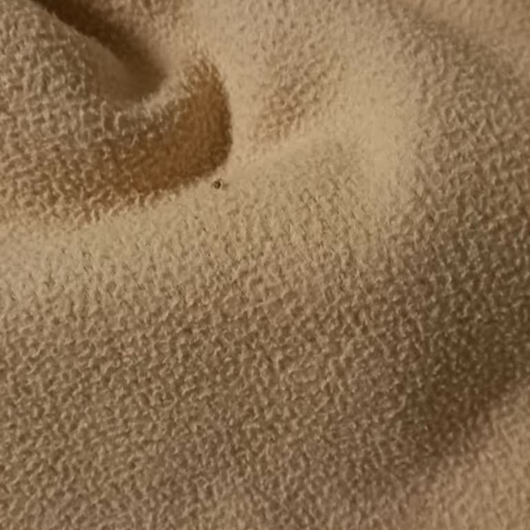 Hastane Odasında Böcek Sorunu Hijyen Ve Sağlık Riskine Yol Açıyor