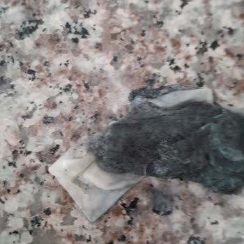 Satın Aldığım Süt İçerisinden Yabancı Madde Çıktı, Sağlığım Tehlikeye Girdi