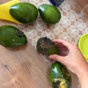 Yanlış Teslimat Ve Hasarlı Ürün Sorunu