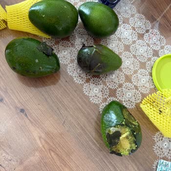 Yanlış Teslimat Ve Hasarlı Ürün Sorunu