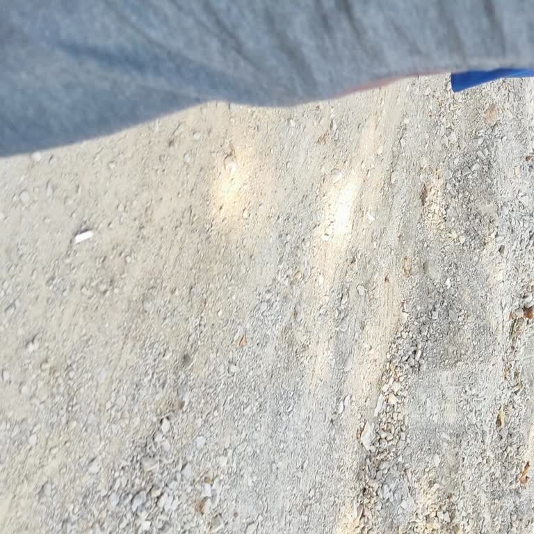 Ziraat Bankası Emekli Maaş Promosyonu Ödemesi Gecikiyor Ve Bilgilendirme Yapılmıyor