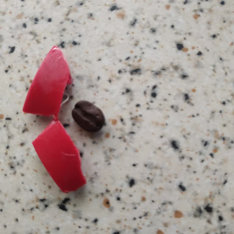 Bosch Customer Service Does Not Accept Product Defects