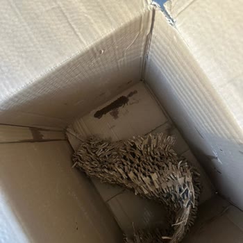 Eksik Ve Hasarlı Ürünler Sonrası İlgisiz Müşteri Hizmetleri