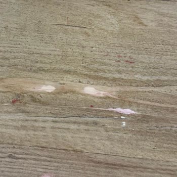 Mudo Sehpa Nemli Bezle Silince Bozuldu, Garanti Desteği Sağlanmıyor