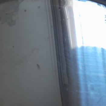 Nehir Tencerede Metal Atması ve Paslanma Oldu