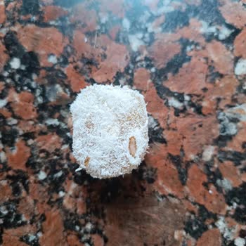 Aldığım Lokumdan Canlı Kurt Çıktı, Paramın İadesini İstiyorum