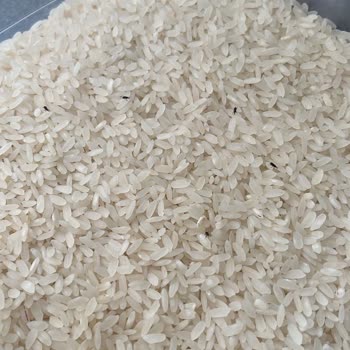 Aldığım Pirinçte Böcek Çıktı: Hijyen Ve Güven Sorunu