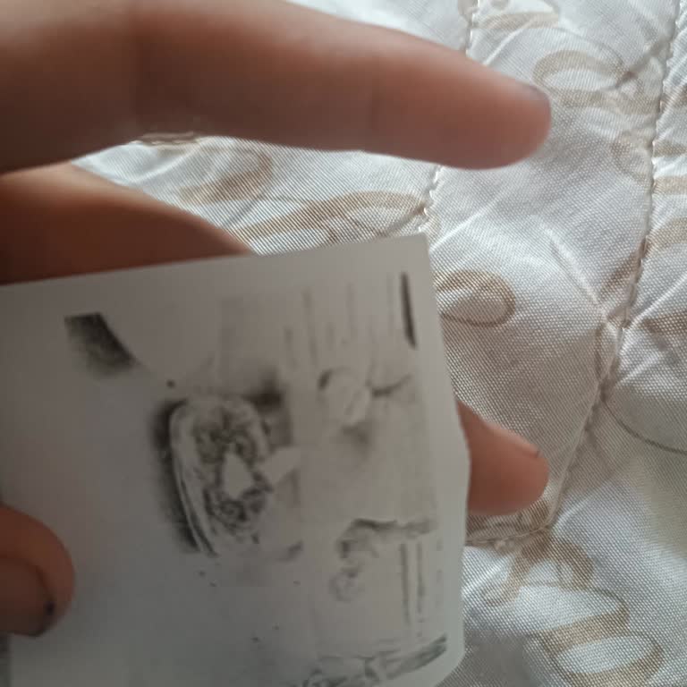 Yeni Alınan Yazıcıda Baskı Kalitesi Sorunu