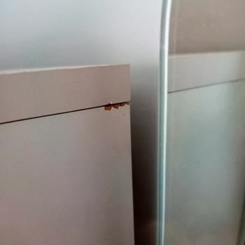 130.000 TL’lik Mobilya Alışverişinde Eksik, Hatalı Ve Hasarlı Ürün Mağduriyeti