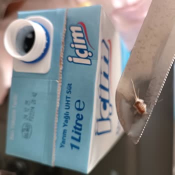 Aldığım İçim Sütünden Böcek Çıktı, Müşteri Hizmetleri Dönüş Yapmadı