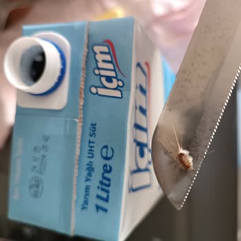 Aldığım İçim Sütünden Böcek Çıktı, Müşteri Hizmetleri Dönüş Yapmadı