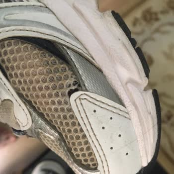 3 Ayda Yırtılan Ayakkabıya Değişim Ya Da İade Talebi