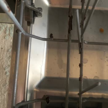 Bulaşık Makinesi Alt Sepetinde Sürekli Paslanma Ve Sağlık Riski