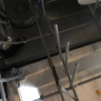 Bulaşık Makinesi Alt Sepetinde Sürekli Paslanma Ve Sağlık Riski