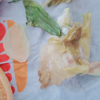 Burgerde Çürük Marul Patateste Bayatlık İade Talebi