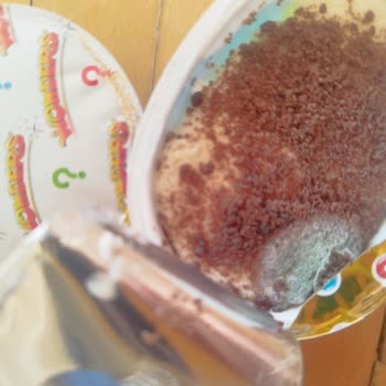 Küflü Ozmo Sürpriz Yumurta Mağduriyeti Ve İade Talebi