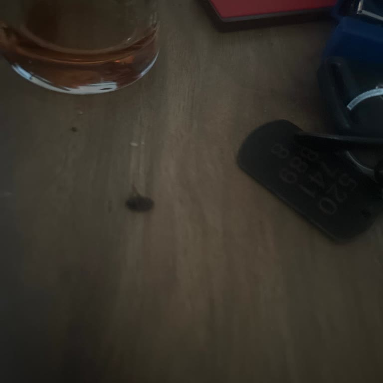 Coca-Cola Şişesinden Çıkan Böcek Hijyen Endişesi Yarattı