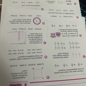 HP Smart Tank 515 Yazıcıda Sürekli Pembe Baskı Sorunu Ve Destek Talebi