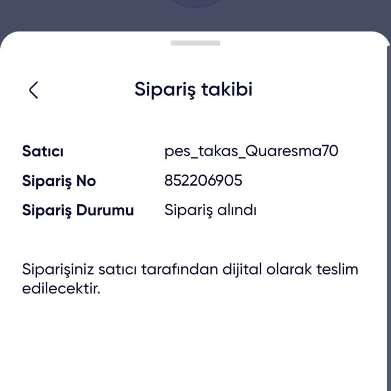 Satın Aldığım Dijital Hesap Teslim Edilmedi, Satıcıya Ulaşamıyorum!