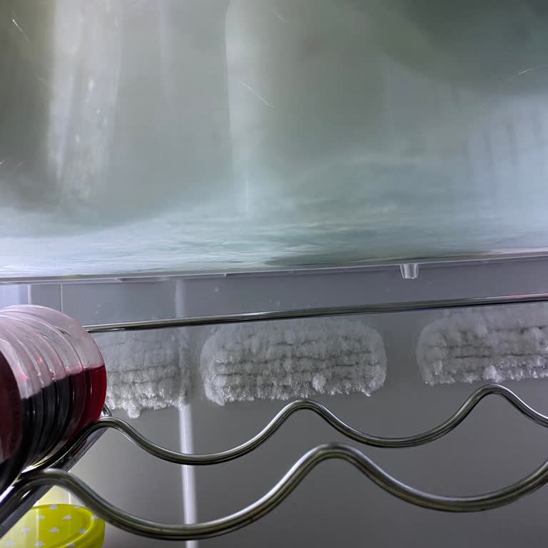 Buzdolabımda Sürekli Buzlanma Ve Servis Çözüm Sunmuyor