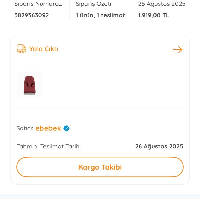 Teslim Edilmeyen Sipariş Ve Geciken Ücret İadesi Nedeniyle Hayal Kırıklığı