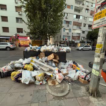 Konakta Düzenli Toplanmayan Çöpler Nedeniyle Oluşan Koku Ve Hijyen Sorunu