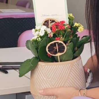 Çiçek Sepeti'nden Solmuş Ve Kurumuş Çiçek Teslimatı, Yetersiz Çözüm