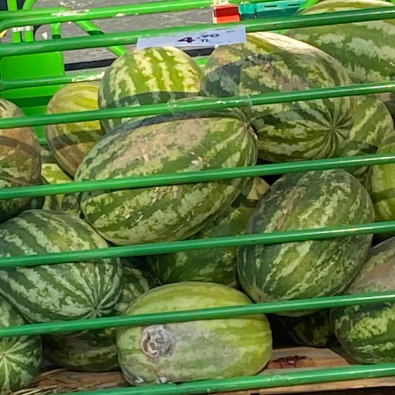 Şok Market Güneşler Şubesinde Bakımsız Reyonlar Ve İlgisiz Çalışanlar