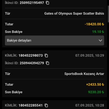 Hesabım İzinsiz Kullanıldı, Bakiyem Kayboldu Ve Destek Alamadım