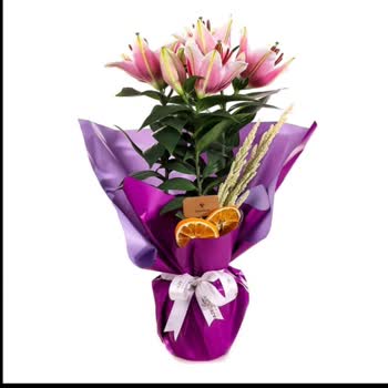 Görseldekiyle Alakasız Ürün Ve İlgisiz Müşteri Hizmetleri