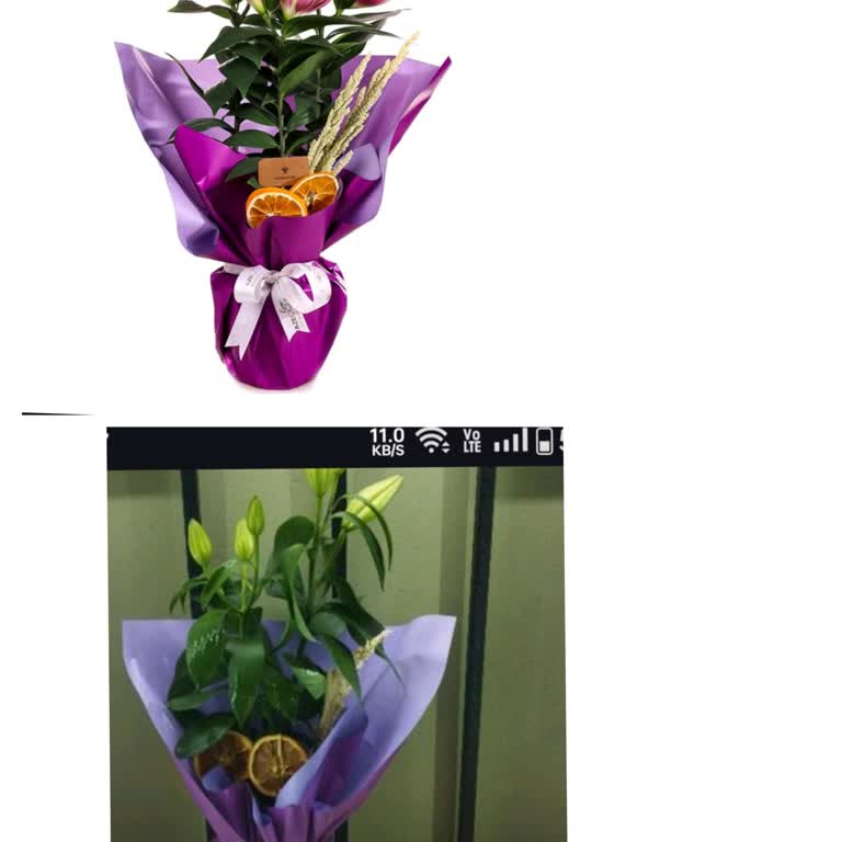 Görseldekiyle Alakasız Ürün Ve İlgisiz Müşteri Hizmetleri