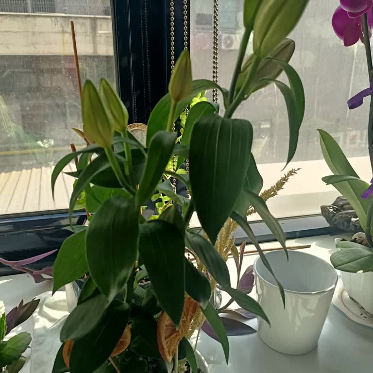 Görseldekiyle Alakasız Ürün Ve İlgisiz Müşteri Hizmetleri