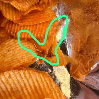 Ruffles Ketçaplı Cips Paketinden Böcek Çıkması Nedeniyle Yaşanan Rahatsızlık