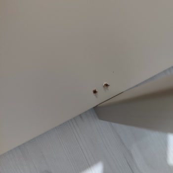 Teslimat Ve Montajda Yaşanan Sorunlar Çözülmüyor