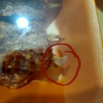 Yemekte Yabancı Cisim Ve Yırtık Paket, Müşteri Hizmetleri Çözüm Sunmadı