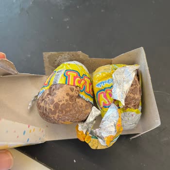 Sürpriz Yumurtadan Küflü Ürün Çıkması Hayal Kırıklığı Yaşattı